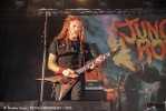 Jungle_Rot_28629.jpg